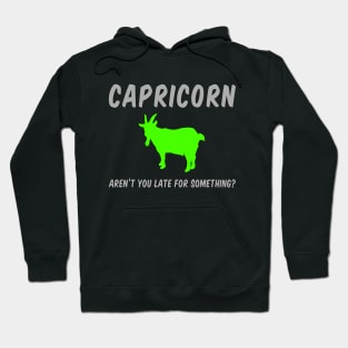 Capricorn: Aren't You Late For Something? Hoodie